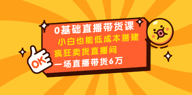 0基础直播带货课：小白也能低成本搭建疯狂卖货直播间：1场直播带货6万-遨游资源库