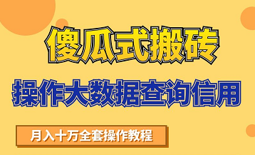 搬砖操作大数据查询信用项目赚钱教程，祝你快速月入6万-遨游资源库