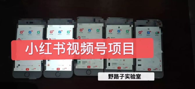 野路子小红书视频号1.0项目，直接上手操作就能赚钱的视频号项目-遨游资源库