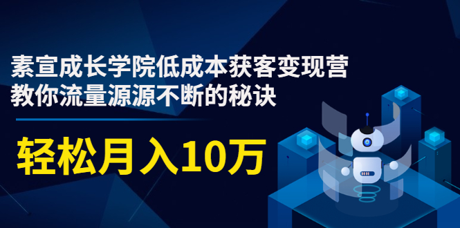 素宣成长学院低成本获客变现营，教你流量源源不断的秘诀，轻松月入10万-遨游资源库