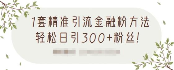 1套精准引流金融粉方法,轻松日引300+粉丝-遨游资源库