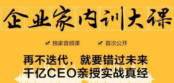 企业家内训大课，未来企业必学经验，价值1299元-遨游资源库