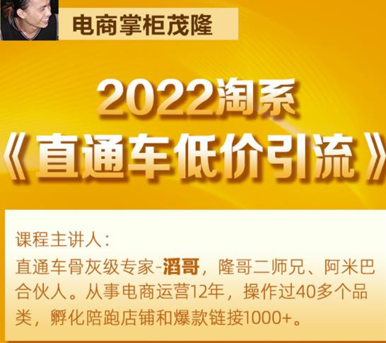 茂隆2022直通车低价引流玩法，教大家如何低投入高回报的直通车玩法-遨游资源库
