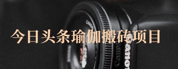 猎人社区·今日头条瑜伽搬砖项目，单号一天几十收入，可以批量操作！-遨游资源库