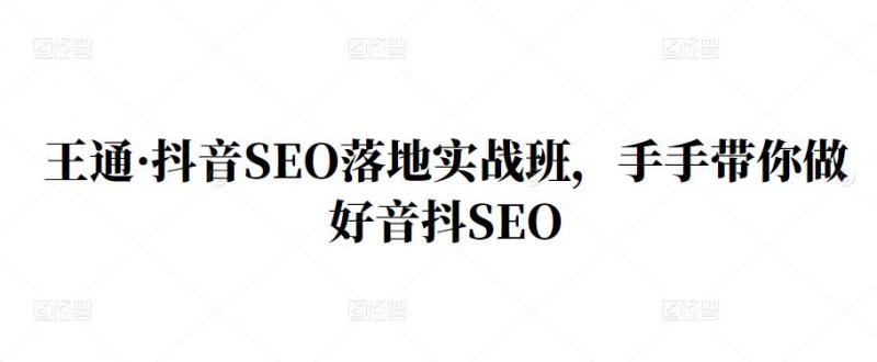 王通·抖音SEO落地实战班，手‬手带你做好音抖‬‬SEO-遨游资源库