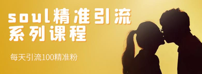 soul精准引流系列课程，每天引流100精准粉-遨游资源库