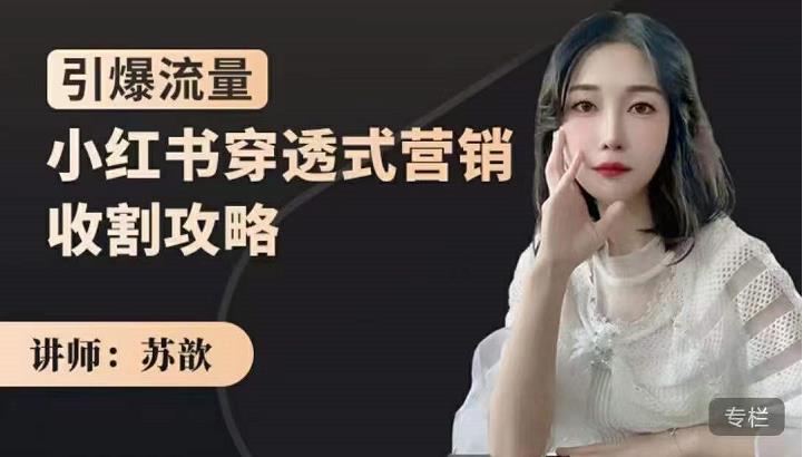 苏歆：小红书穿透式营销收割攻略，引爆流量，助你玩转小红书-遨游资源库