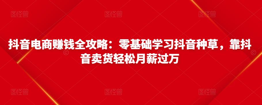 抖音电商赚钱全攻略：零基础学习抖音种草，靠抖音卖货轻松月薪过万-遨游资源库