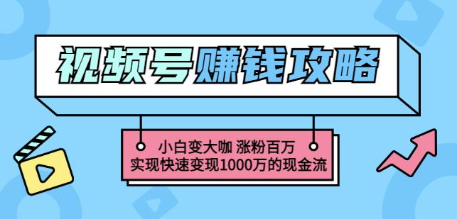 玩转微信视频号赚钱：小白变大咖涨粉百万实现快速变现1000万的现金流-遨游资源库