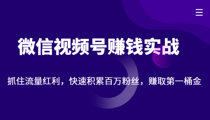 微信视频号赚钱实战：抓住流量红利，快速积累百万粉丝，赚取你的第一桶金-遨游资源库