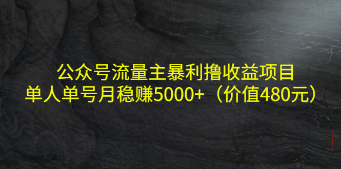 公众号流量主暴利撸收益项目，单人单号月稳赚5000+（价值480元）-遨游资源库