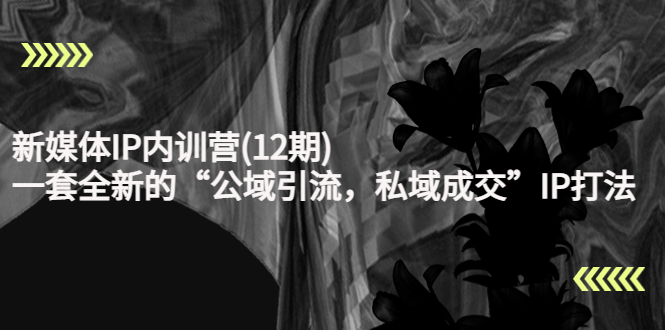 新媒体IP内训营(12期)，一套全新的“公域引流，私域成交”IP打法，直接带走-遨游资源库