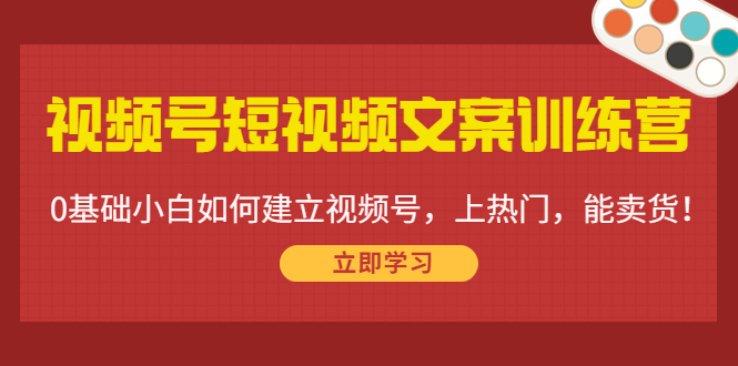 视频号短视频文案训练营:0基础小白如何建立视频号,上热门,能卖货!-遨游资源库