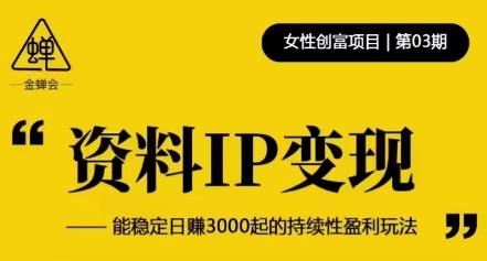 资料IP变现,能稳定日赚3000起的持续性盈利玩法-遨游资源库