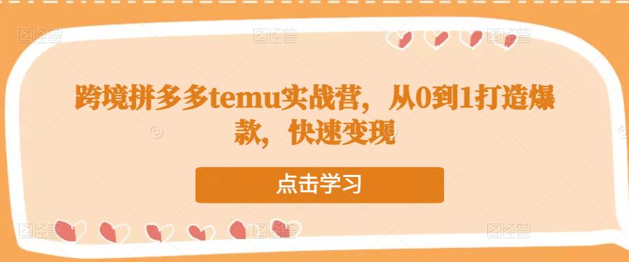 跨境拼多多temu实战营，从0到1打造爆款，快速变现-遨游资源库