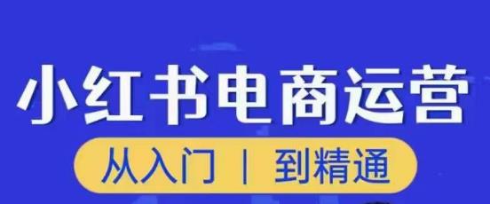 顽石小红书电商高阶运营课程,从入门到精通,玩法流程持续更新-遨游资源库