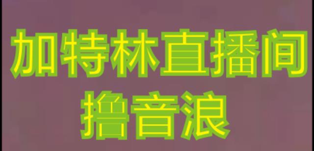 抖音加特林直播间搭建技术，抖音0粉开播，暴力撸音浪，2023新口子，每天800+【素材+详细教程】-遨游资源库
