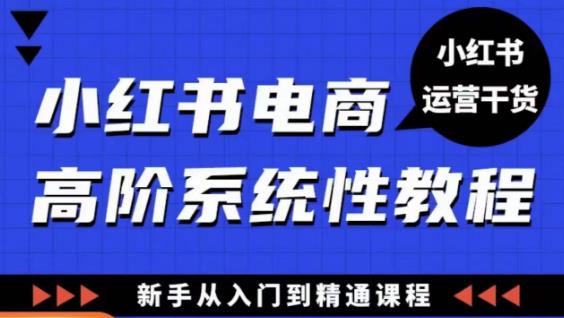 小红书电商高阶系统教程，新手从入门到精通系统课-遨游资源库
