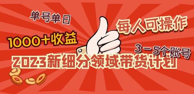 2023新细分领域带货计划：单号单日1000+收益不难，每人可操作3-5个账号-遨游资源库