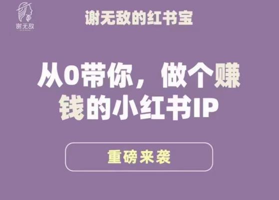 谢无敌·小红书运营大宝典，从0带你做个赚钱的小红书IP-遨游资源库