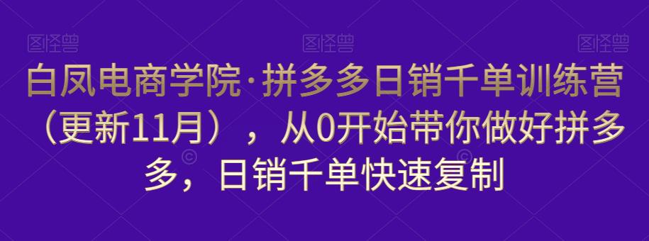 白凤电商学院·拼多多日销千单训练营,从0开始带你做好拼多多,日销千单快速复制(更新知2023年3月)-遨游资源库