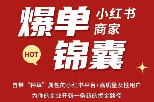 无畏·小红书商家爆单锦囊，掌握小红书各大规则，快速精准抢占行业和市场-遨游资源库