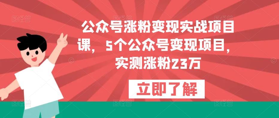 公众号涨粉变现实战项目课，5个公众号变现项目，实测涨粉23万-遨游资源库