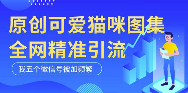 黑科技纯原创可爱猫咪图片，全网精准引流，实操5个VX号被加频繁-遨游资源库