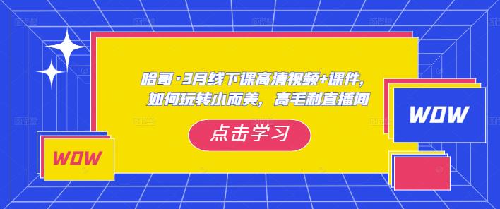 哈哥·3月线下实操课高清视频+课件,如何玩转小而美,高毛利直播间-遨游资源库