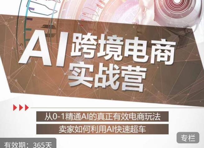 白龙老师·AI跨境电商实战营：从0-1精通Al的真正有效电商玩法，卖家如何利用Al快速超车-遨游资源库