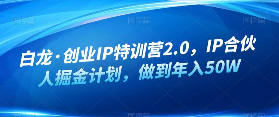 白龙·创业IP特训营2.0，IP合伙人掘金计划，做到年入50W-遨游资源库