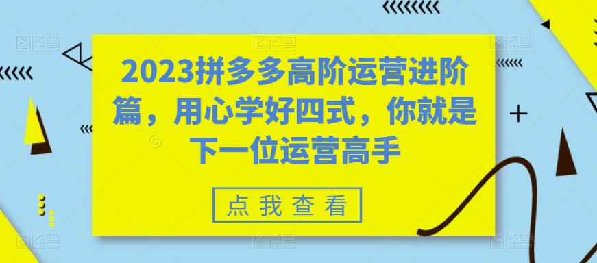 2023拼多多高阶运营进阶篇，用心学好四式，你就是下一位运营高手-遨游资源库