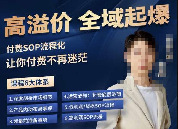 逸风-拼多多高溢价全域起爆,6大课程体系,付费玩法全套实操-遨游资源库
