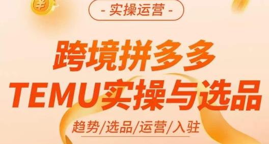 伍跃·跨境拼多多TEMU实操与选品，​趋势/选品/运营/入住（27节完整）-遨游资源库