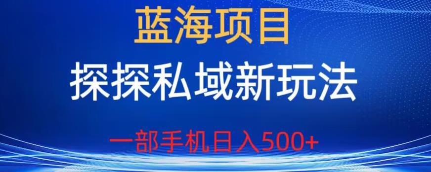 蓝海项目，探探私域新玩法，一部手机日入500+很轻松【揭秘】-遨游资源库