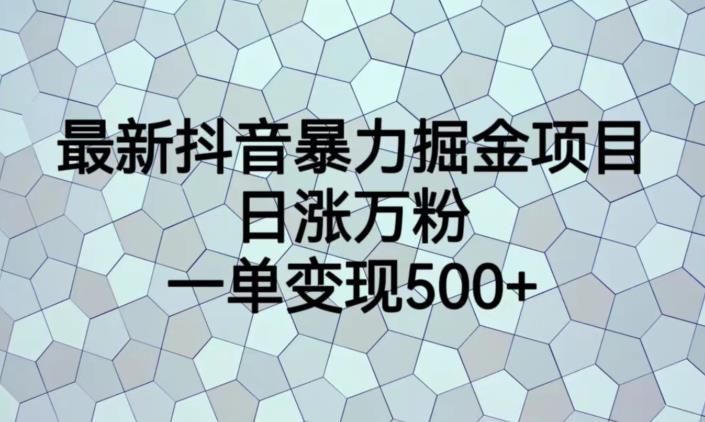 最新抖音暴力掘金项目，日涨万粉，一单变现500+【揭秘】-遨游资源库