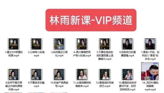 林雨新课VIP频道,玩赚私域/朋友圈/社群-遨游资源库