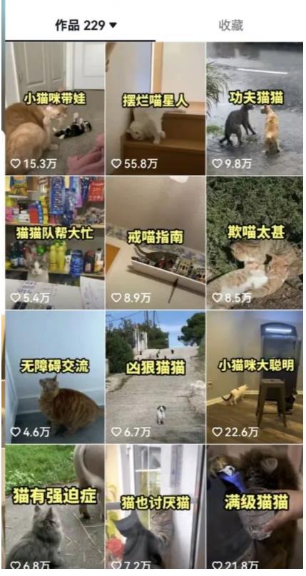 拆解:抖音盘点类中视频变现副业项目,视频版一条龙大解析分享给你-遨游资源库