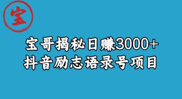 宝哥揭秘日赚3000+抖音励志语录号短视频变现项目-遨游资源库