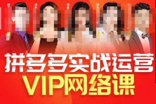 推易拼多多VIP全套直播课程，拼多多店铺实操玩法+实战玩法选款内功+直通车高阶等-遨游资源库