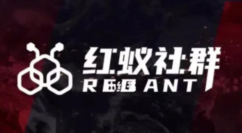社群运营：红蚁社群【48节落地系统课程+2000人高端社群】-遨游资源库
