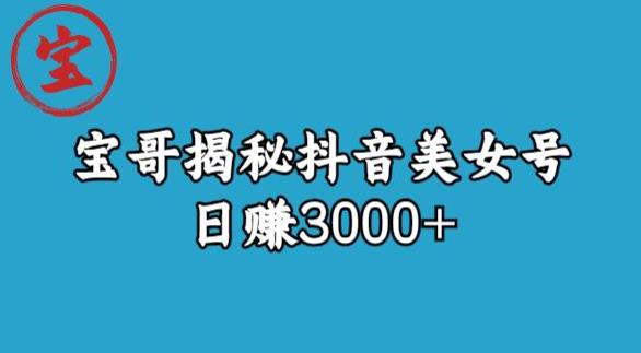 宝哥揭秘抖音美女号玩法，日赚3000+【揭秘】-遨游资源库