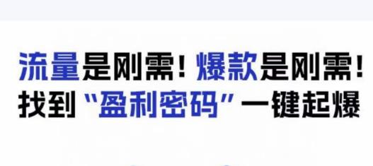 电商盈利精品课：6大盈利密码让产品更好卖，流量是刚需！爆款是刚需！找到”盈利密码”一键起爆-遨游资源库