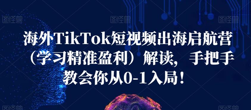 海外TikTok短视频出海启航营（学习精准盈利）解读，手把手教会你从0-1入局！-遨游资源库