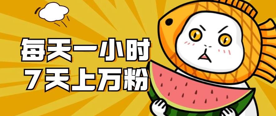 暴力涨粉项目：每天一小时，七天上万粉【揭秘】-遨游资源库