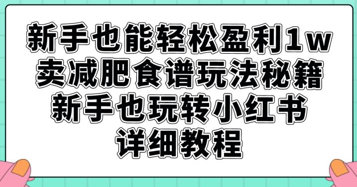 新手也能轻松盈利1w，卖减肥食谱玩法秘籍，新手也玩转小红书详细教程【揭秘】-遨游资源库