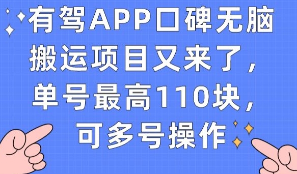有驾APP口碑无脑搬运项目又来了，单号最高110块，可多号操作-遨游资源库