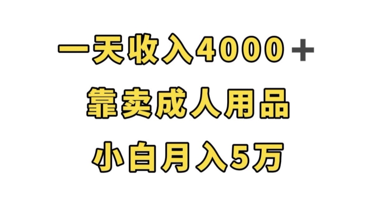 一天收入4000+,靠卖成人用品,小白轻松月入5万【揭秘】-遨游资源库