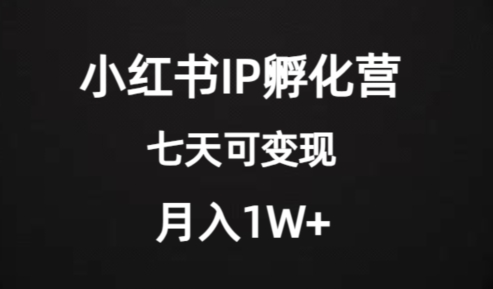 价值2000+的小红书IP孵化营项目，超级大蓝海，七天即可开始变现，稳定月入1W+-遨游资源库