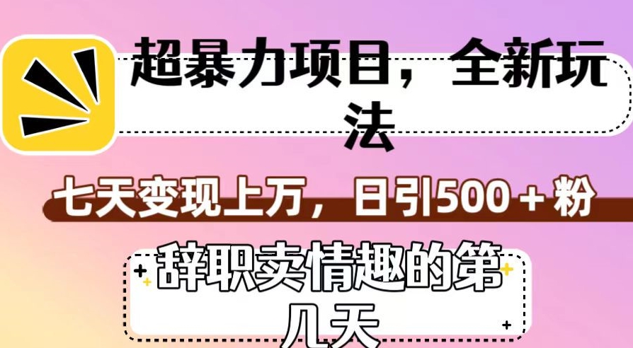超暴利项目，全新玩法（辞职卖情趣的第几天），七天变现上万，日引500+粉【揭秘】-遨游资源库